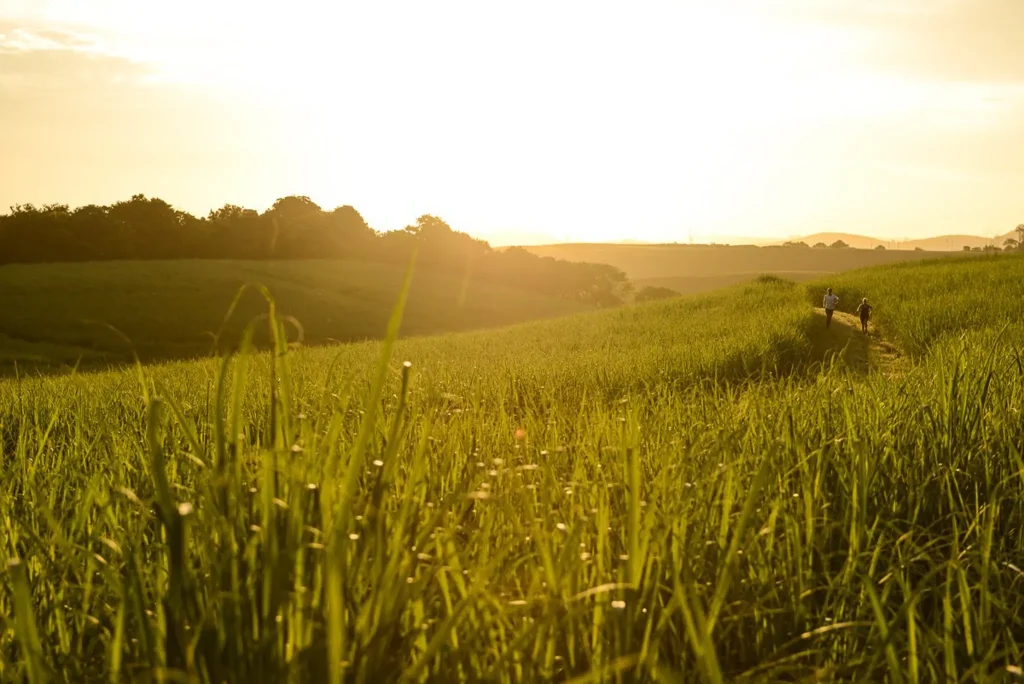 RB Rave Run small3-2