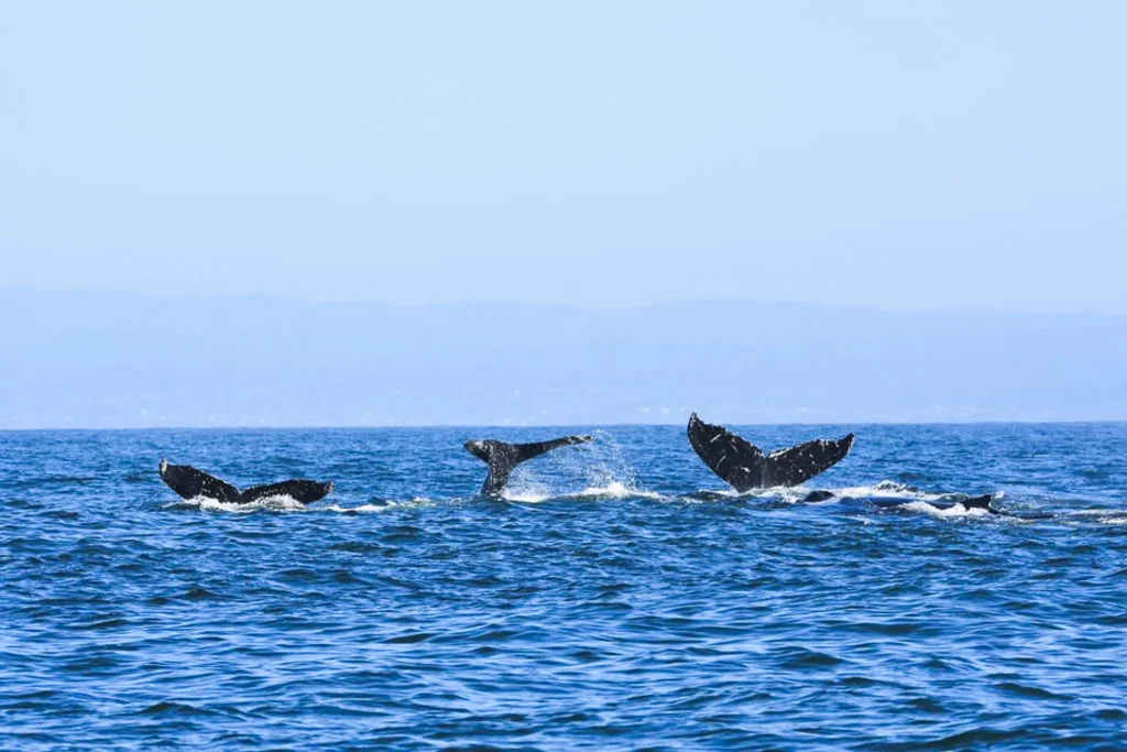 Facilities | Contact Us